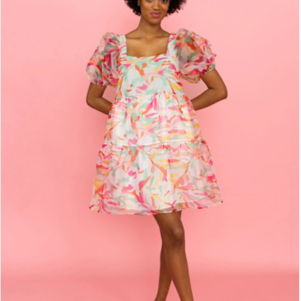 NWT Crosby by Mollie Burch Saylor Dress